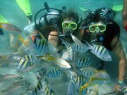 Maracajaú Diver - mergulho nos Parrachos de Maracajaú