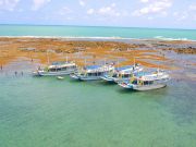 Passeio de Barco da Marina Badauê nas Piscinas Naturais de Pirangi