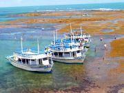 Passeio de Barco da Marina Badauê nas Piscinas Naturais de Pirangi
