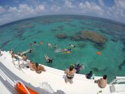 Maracajaú Diver - Passeio de lancha para mergulho nos Parrachos de Maracajaú