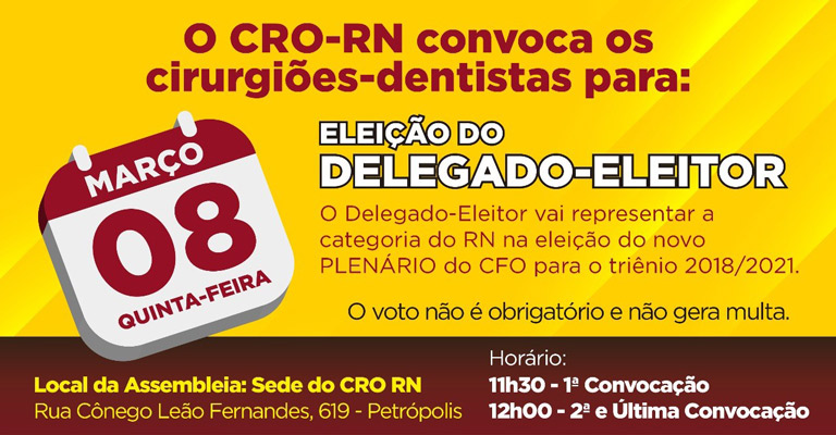 Chapa única