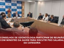 Conselhos de Odontologia participam de reunião com Ministro da Saúde para discutir Piso Salarial da categoria